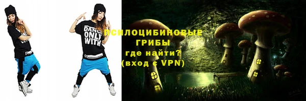 индика Верхнеуральск